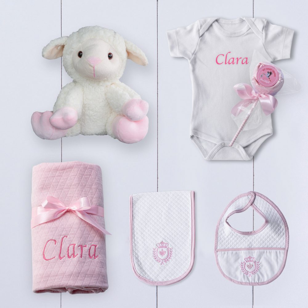 Produtos que compões a Cesta maternidade rosa para bebeê menina