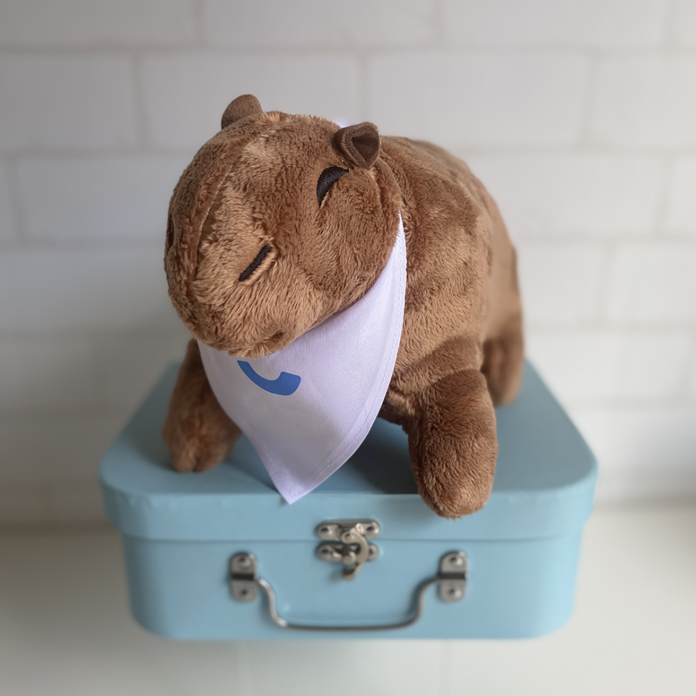 Capivara de pelúcia de 30cm para presentear recém-nascidos ou crianças na empresa