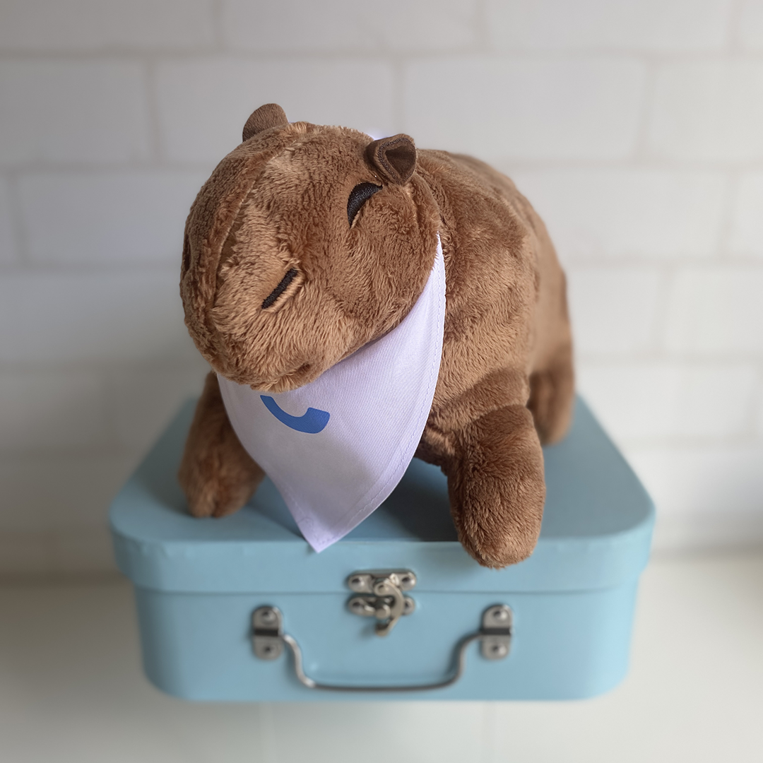 Capivara de pelúcia com bandana personalizada_2
