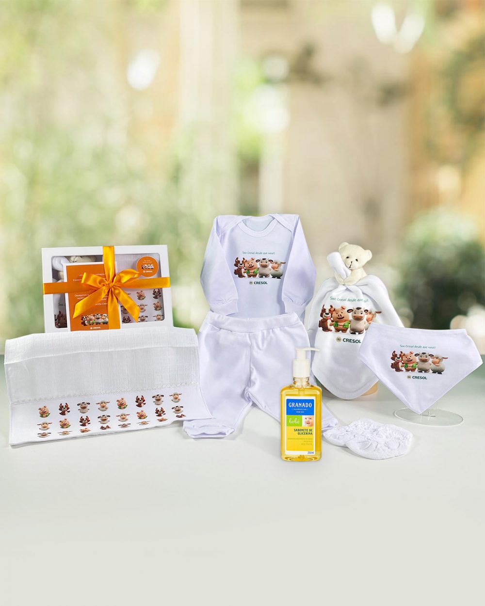 Kit bebê corporativo com body manda longa